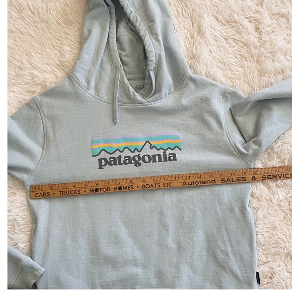 Patagonia Mint Pastel Hoodie Sweater Size M - Picture 5 of 11